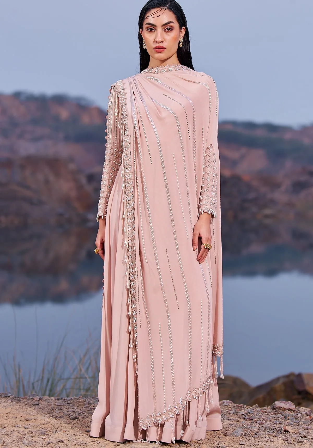 Blush Pink Full Sleeved Anarkali