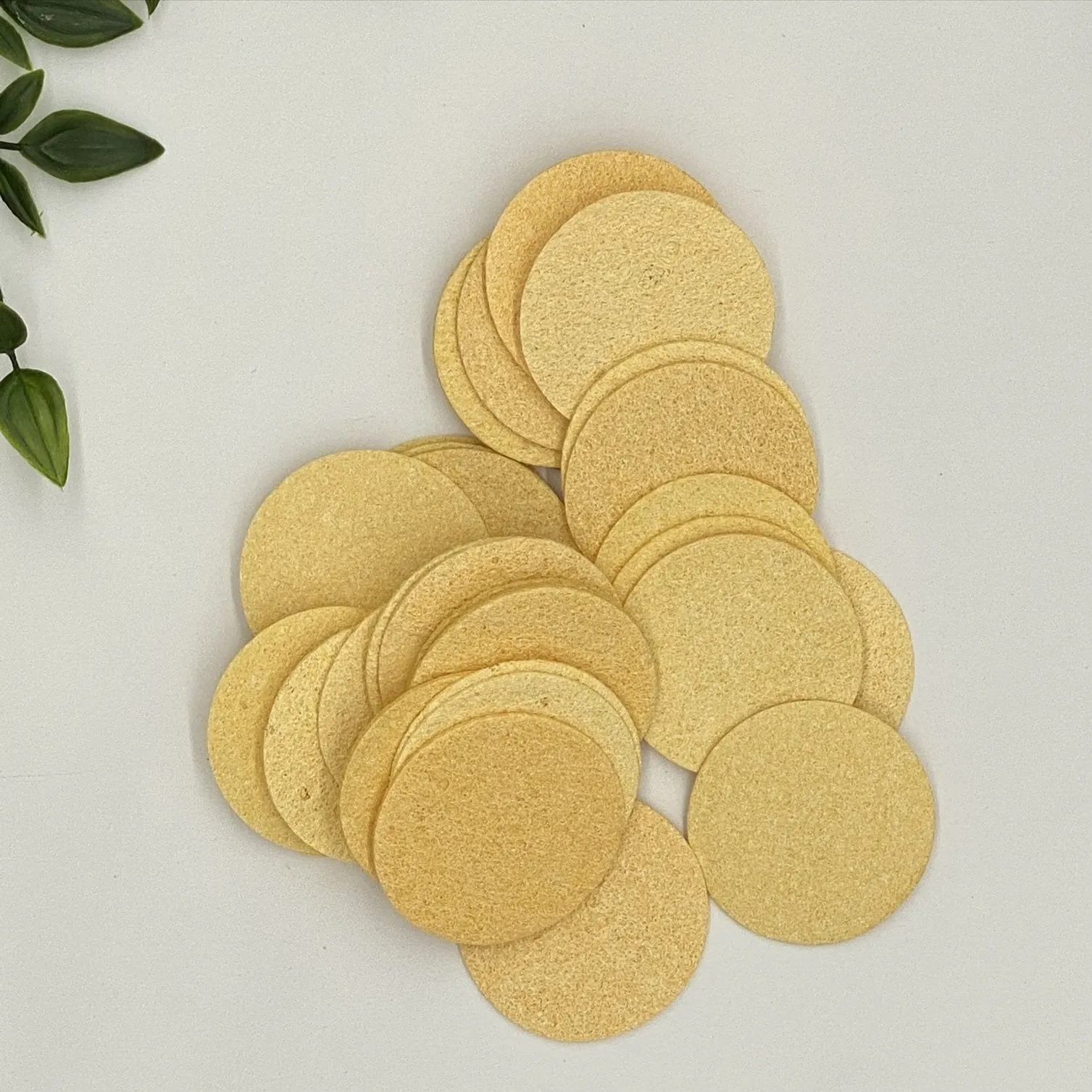 Cellulose Face Cleansing Compressed Sponge