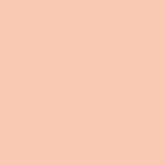 FACES CANADA All Day Hydra Matte Foundation Rose Ivory 011 15ml