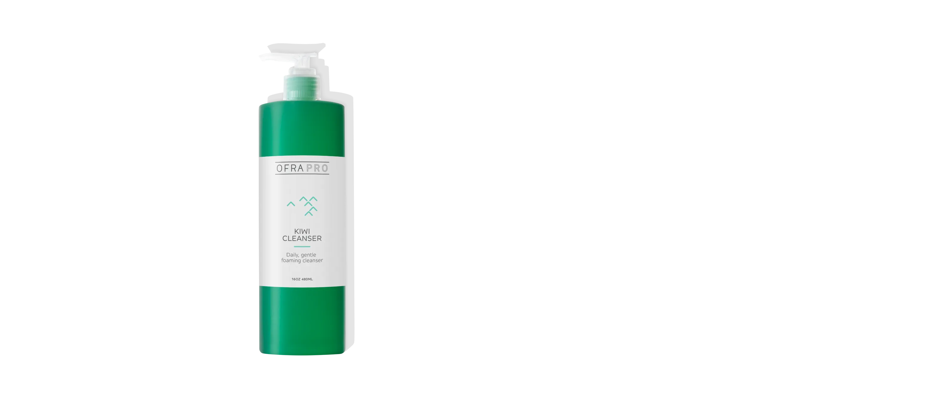 Kiwi Cleanser Professional