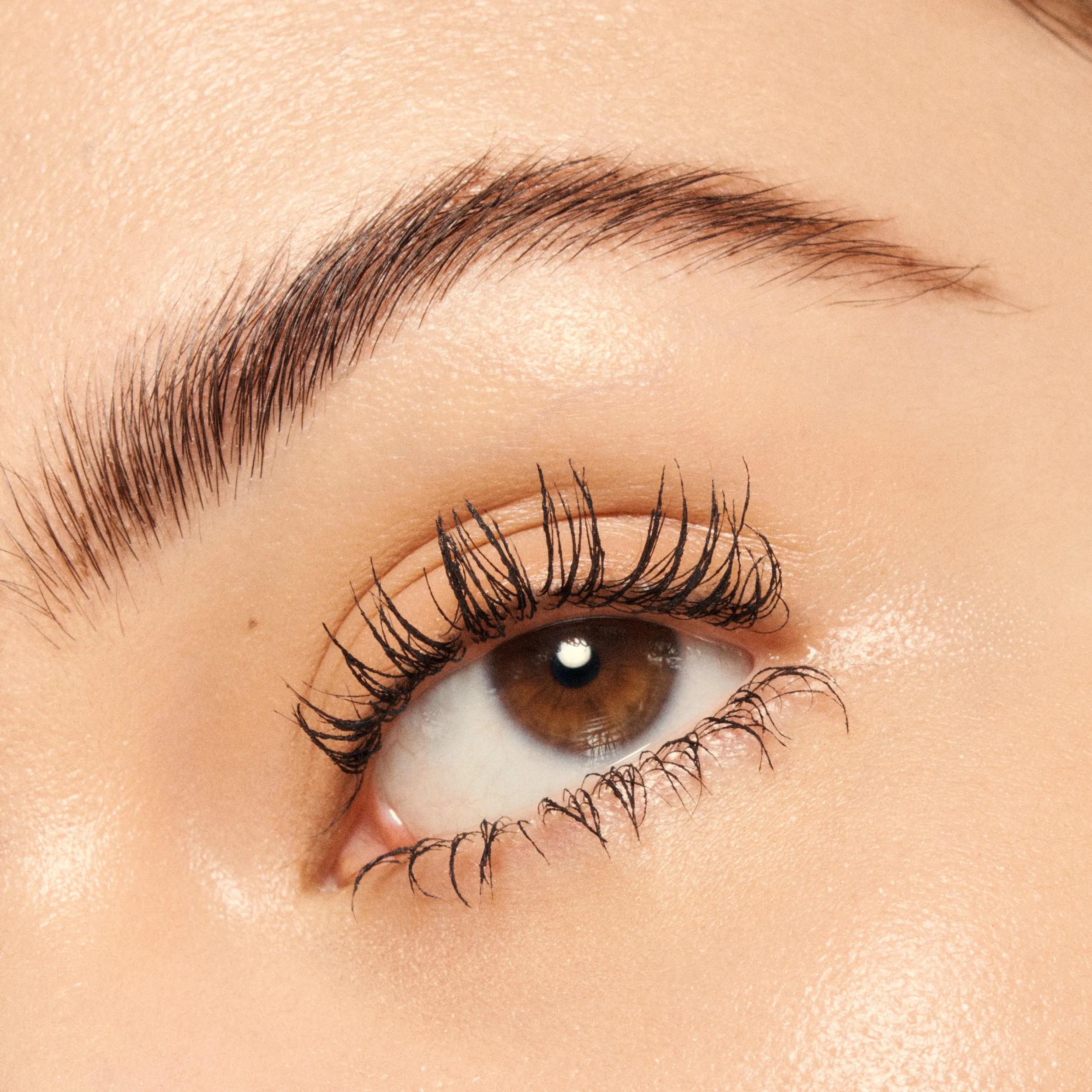 Modern Mascara