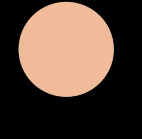 N7 COOL NEUTRAL Foundation - Soft Matte Finish